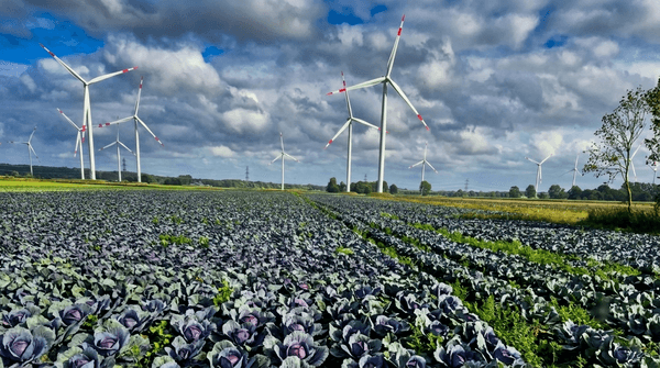 Landschaft Dithmarschen 2